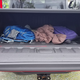 Image for article titled The 2020 Jeep Gladiator Costs $35,040 To $62,310–Here's a Full Price Breakdown